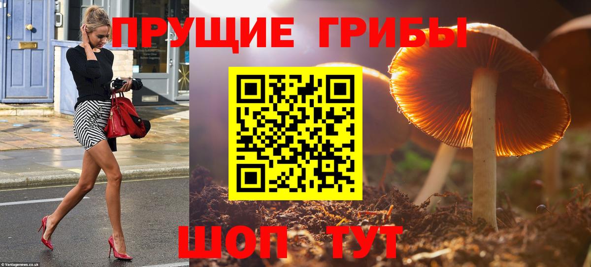 Галлюциногенные грибы прущие грибы  Галлюциногенные грибы Magic Shrooms  Сибай  Вход с VPN 